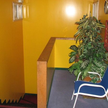 Hostal El Mirador Punta Arenas Zewnętrze zdjęcie